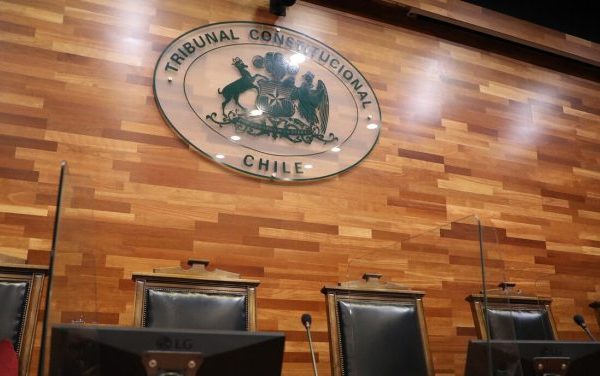 Las críticas que dejó el fallo del TC sobre los indultos otorgados por el Presidente Boric