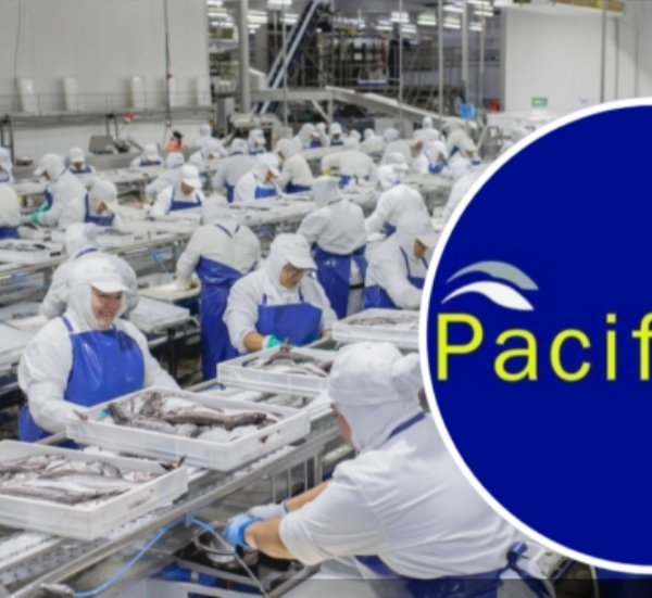 Ley de fraccionamiento pesquero: el futuro de PacificBlu