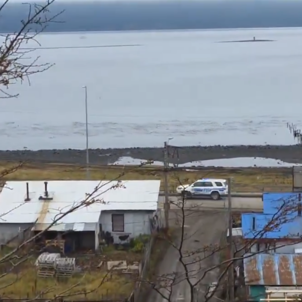 Evacuación Tsunami Magallanes: Actualización de Senapred