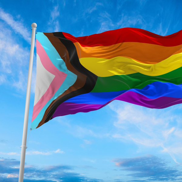 Identidad Queer: La Evolución de una Comunidad Inclusiva