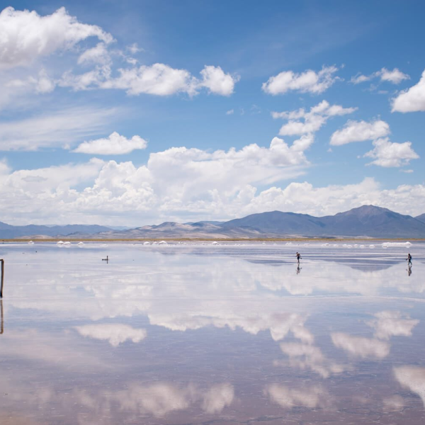 Inversiones Chinas en Chile: La Embajada Responde