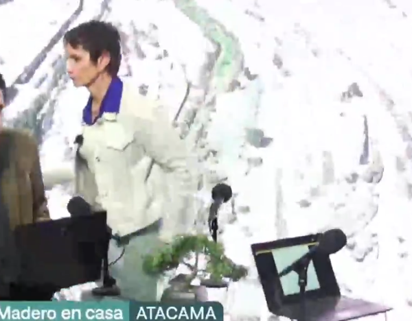Sismo en el norte: Impacto en la entrevista de Carolina Tohá