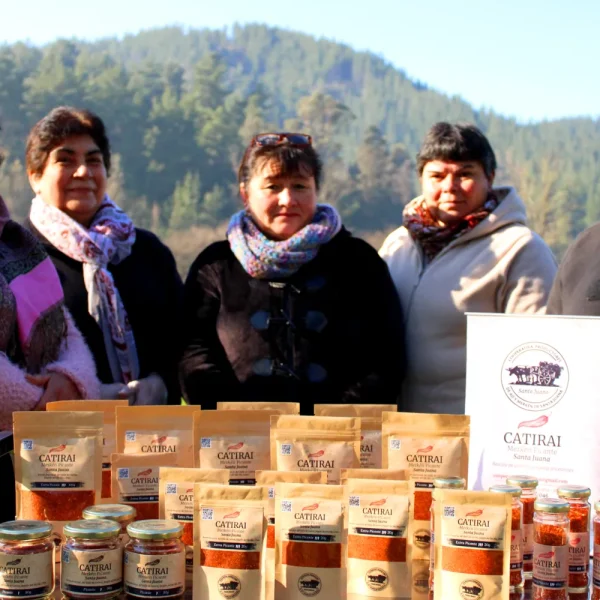 Expo Mundo Rural Biobío: Celebrando Tradiciones Locales