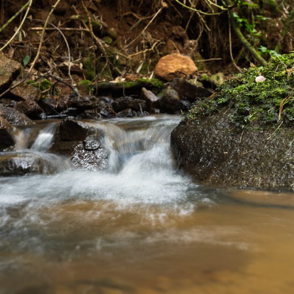 Sostenibilidad: Innovación en Producción de Tierras Raras