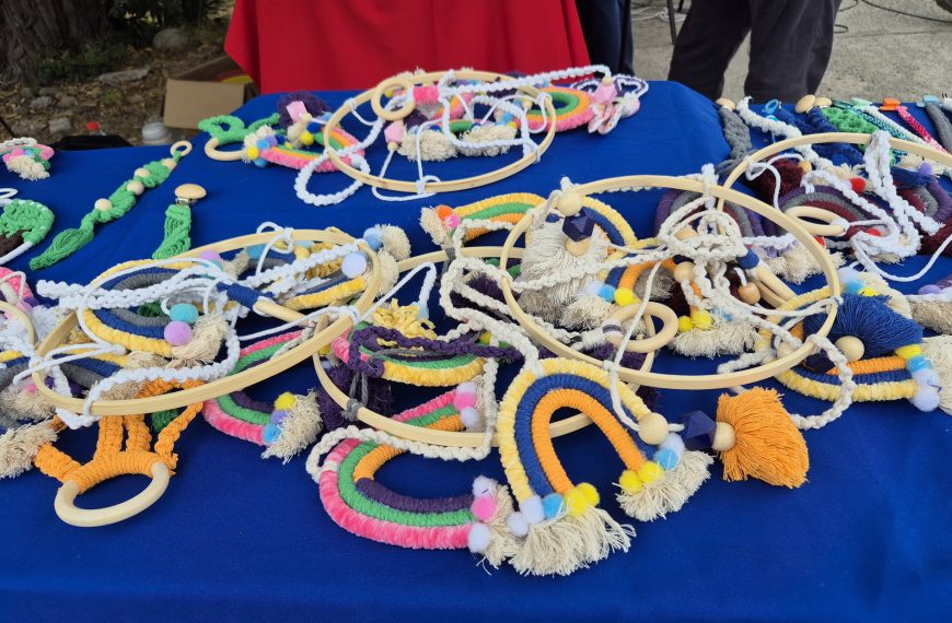 Expo Guagua: La Jornada que Fortalece el Cuidado Infantil en Quillota