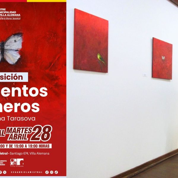 Momentos efímeros: La fascinante exposición de Tatiana Tarasova en Chile