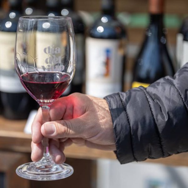 Día Nacional del Vino: Un Recorrido Único por la Cultura Chilena