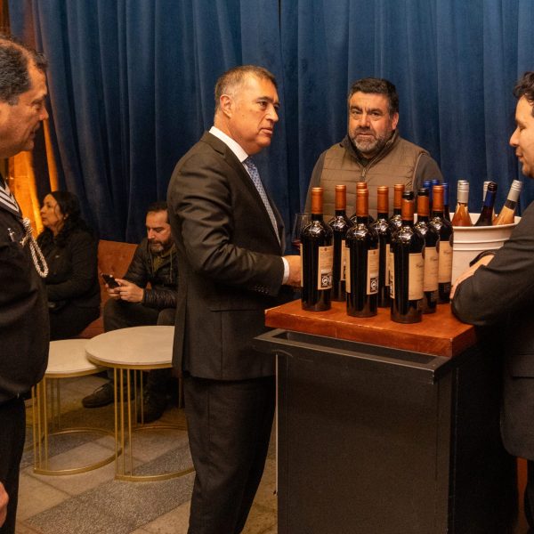 Enoturismo Santiago: Descubre la Ruta del Vino en el Centro Histórico