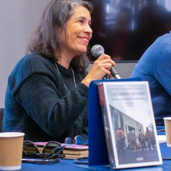 Persecución Penal en Wallmapu: Presentación del Impactante Libro Este Viernes