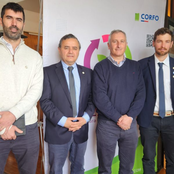 Eliminación de horario punta: Aumento de competitividad para el sector agrícola